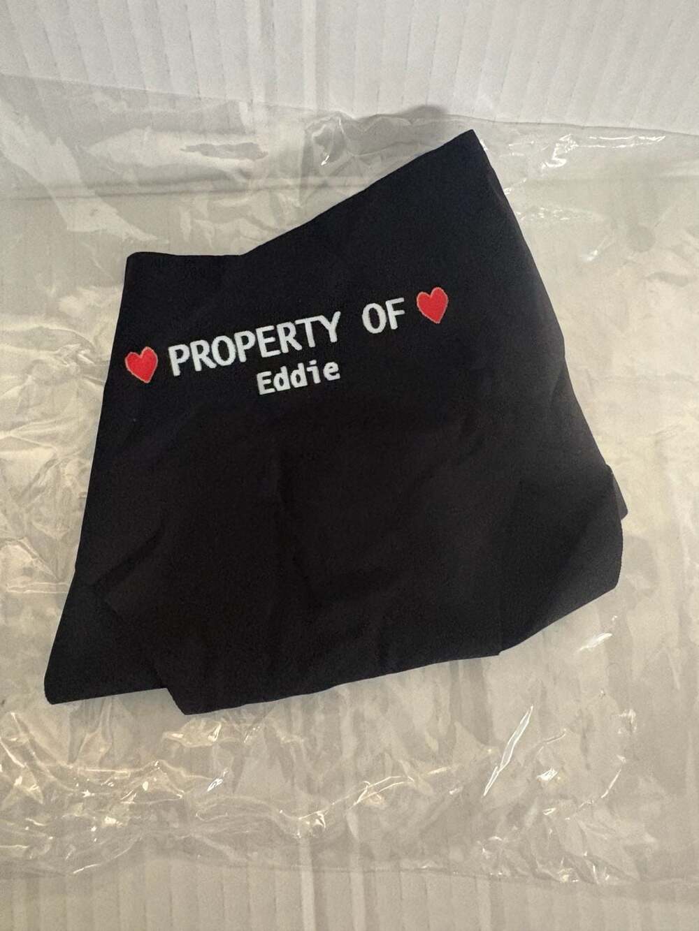 Custom Property of Eddie Women's Lace Trim Panties Black